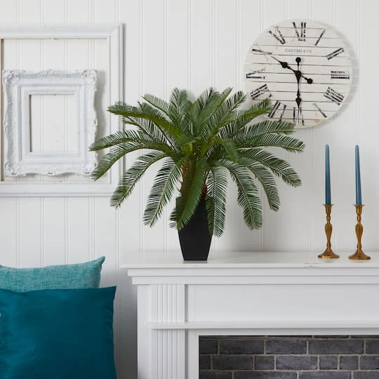 2.5ft. Cycas In Black Planter 6 2.5ft. Cycas In Black Planter - Image 4