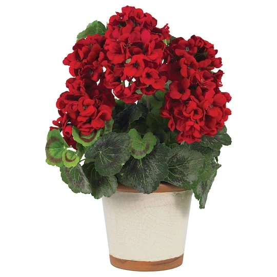 17" Red Geranium In White Decorative Pot 4 17" Red Geranium In White Decorative Pot - Image 2