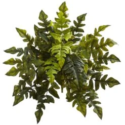 24in. Holly Fern Plant, 2ct. -Flowers Michael Store D262847S 1 1