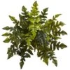 24in. Holly Fern Plant, 2ct. 1 24in. Holly Fern Plant, 2ct. -Flowers Michael Store D262847S 1