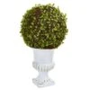 18" Mohlenbechia Ball Topiary In White Urn 1 18" Mohlenbechia Ball Topiary In White Urn -Flowers Michael Store D262858S 11