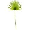 Green Fan Palm Spray, 6ct. -Flowers Michael Store D262868S 1