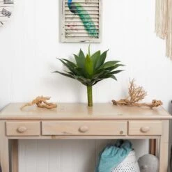 19" Agave Plant Set -Flowers Michael Store D262881S 12