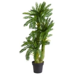 3.5ft. Triple Potted Cycas -Flowers Michael Store D262925S 2