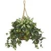 2.5ft. Silver Queen And Ivy Plant In Hanging Basket -Flowers Michael Store D262939S 11