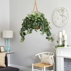 2.5ft. Silver Queen And Ivy Plant In Hanging Basket -Flowers Michael Store D262939S 12