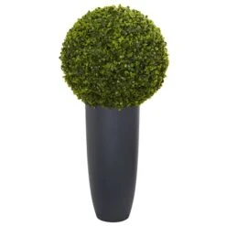 2.5ft. Boxwood Topiary Plant In Gray Cylinder Planter -Flowers Michael Store D262951S 11 1