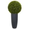 2.5ft. Boxwood Topiary Plant In Gray Cylinder Planter -Flowers Michael Store D262951S 11