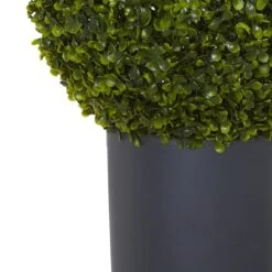 2.5ft. Boxwood Topiary Plant In Gray Cylinder Planter -Flowers Michael Store D262951S 13