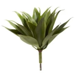 Agave Plant Spikes, 2ct. 11 Agave Plant Spikes, 2ct. -Flowers Michael Store D262979S 4