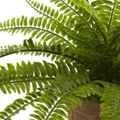 15" Boston Fern With Burlap Planter, 2ct. -Flowers Michael Store D262984S 12