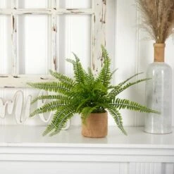 15" Boston Fern With Burlap Planter, 2ct. -Flowers Michael Store D262984S 16