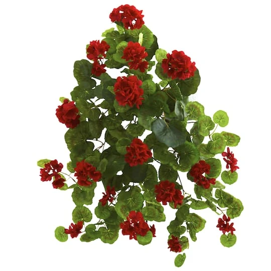 Red Geranium Bush, 2ct. 3 Red Geranium Bush, 2ct.