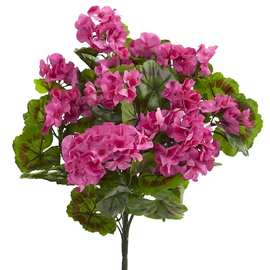 Pink & Green Geranium Bush, 3ct. 4 Pink & Green Geranium Bush, 3ct. - Image 2