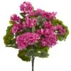 Pink & Green Geranium Bush, 3ct.