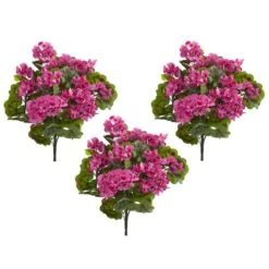 Pink & Green Geranium Bush, 3ct. 8 Pink & Green Geranium Bush, 3ct. -Flowers Michael Store D262993S 12