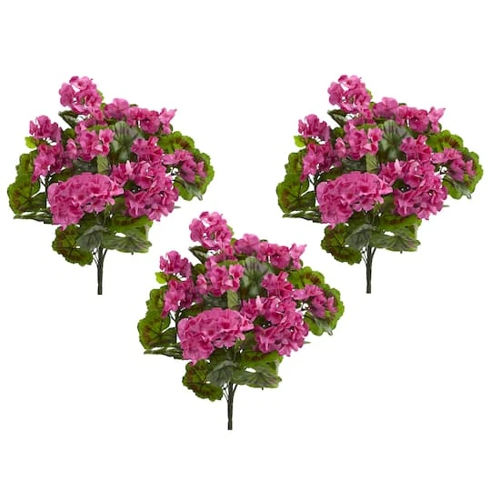 Pink & Green Geranium Bush, 3ct. 5 Pink & Green Geranium Bush, 3ct. - Image 3