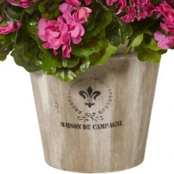 22" Geranium Flowering Plant In Farmhouse Planter -Flowers Michael Store D262997S 13