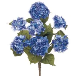 Helio Blue Hydrangea Bush -Flowers Michael Store D264058S 1 1