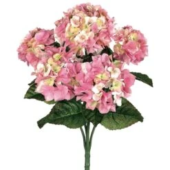 Blush Pink Hydrangea Bush -Flowers Michael Store D264064S 1 1