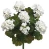 White Water-Resistant Geranium Bush -Flowers Michael Store D264068S 1