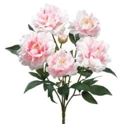 Light Pink Peony Bush -Flowers Michael Store D264083S 1 1