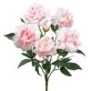 Light Pink Peony Bush 2 Light Pink Peony Bush -Flowers Michael Store D264083S 1