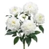 White Peony Bush -Flowers Michael Store D264084S 1
