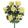 Yellow Confetti Rose Bush 1 Yellow Confetti Rose Bush -Flowers Michael Store D264096S 1