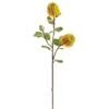 Yellow Banksia Spray -Flowers Michael Store D264453S 1