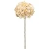 Beige Hydrangea Stem -Flowers Michael Store D264483S 1