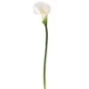White Calla Lily Stem -Flowers Michael Store D264520S 1