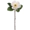 Cream Magnolia Spray -Flowers Michael Store D264530S 1