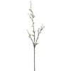 White & Green Pussy Willow Stem -Flowers Michael Store D264619S 1