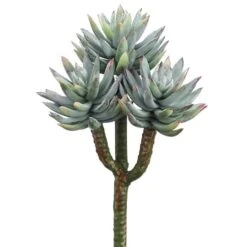 Green Mini Agave Pick -Flowers Michael Store D265651S 1 1