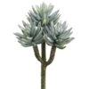 Green Mini Agave Pick -Flowers Michael Store D265651S 1