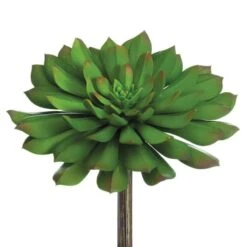 Soft Touch Bright Green Echeveria Pick With Red Tips