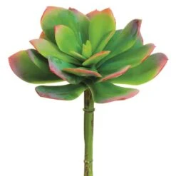 Green & Pink Echeveria Pick -Flowers Michael Store D265703S 1 1
