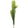 Green Classic Cactus Pick -Flowers Michael Store D265720S 1