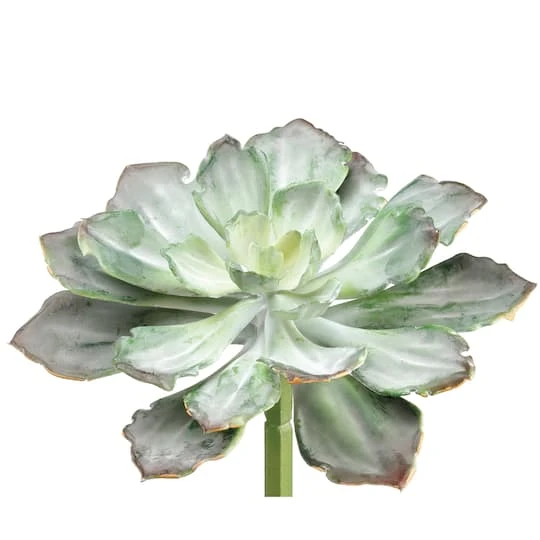Soft Touch Dark Green & Gray Echeveria Pick 4 Soft Touch Dark Green & Gray Echeveria Pick - Image 2