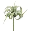 Light Green Gray Tillandsia Pick -Flowers Michael Store D265738S 1