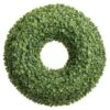 20" Green Soft Touch Sedum Wreath 1 20" Green Soft Touch Sedum Wreath -Flowers Michael Store D265746S 1