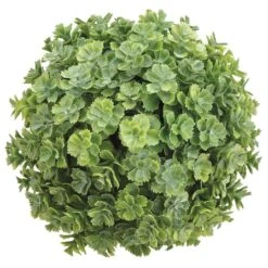 5.5" Green Soft Touch Sedum Orb -Flowers Michael Store D265756S 1 1