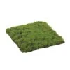 Square Moss Sheet, 12" X 12" -Flowers Michael Store D265773S 1