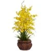 2.5ft. Yellow Dancing Lady Orchid Arrangement With Bamboo Vase -Flowers Michael Store D292604S 1