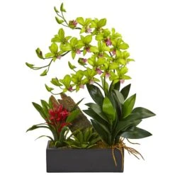 23.5" Green Pigeon Orchid & Bromeliad Arrangement In Black Rectangle Planter