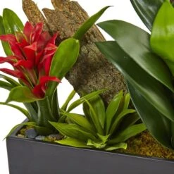 23.5" Green Pigeon Orchid & Bromeliad Arrangement In Black Rectangle Planter -Flowers Michael Store D292615S 12
