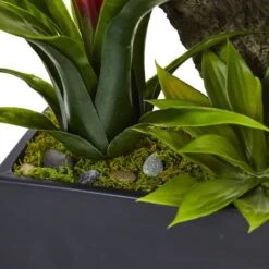 23.5" Green Pigeon Orchid & Bromeliad Arrangement In Black Rectangle Planter -Flowers Michael Store D292615S 14
