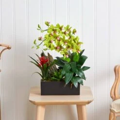 23.5" Green Pigeon Orchid & Bromeliad Arrangement In Black Rectangle Planter -Flowers Michael Store D292615S 16