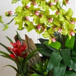 23.5" Green Pigeon Orchid & Bromeliad Arrangement In Black Rectangle Planter -Flowers Michael Store D292615S 17